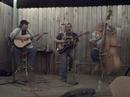Since You Came Along- Susan Gibson with the Plucking Idiots
