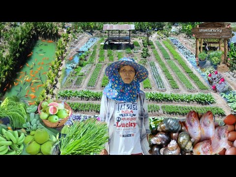 ทำหลากหลายง่ายกว่าทำนา!!ปลูกผักผลไม้เลี้ยงกุ้งหอยปูปลา..มีลูกค้าทุกวัน