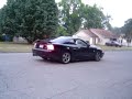 poonanny on 4 wheels