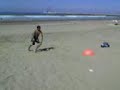 crazy-flip