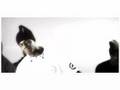 Snares & kicks Channel U version - J-amp