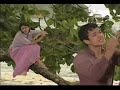 ECHOTIN : Swnw clips - ISLAND PART 4 ECHOTIN : Swnw clips - ISLAND PART 4