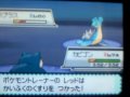 ポケットモンスター