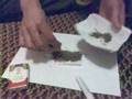 Komik Videoları - bob marley saddam arabic cigara mariuana cannabis