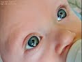 ? Kari Jobe - \"Revelation Song\" ?