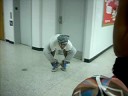African Jungle aka Manalapan Pt. 1 African Jungle aka Manalapan Pt. 1