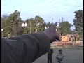 Wagah Border Pakistan