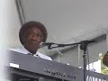 chicago blues festival 2
