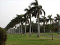 Sanoon Das Jaa Koi Thikana