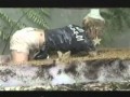 Alex Best crawling through goo and gunge on Im a Celebrity get me out of here Alex Best crawling through goo and gunge on Im a Celebrity get me out of here