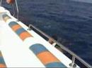 Water sport