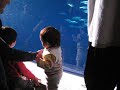 宝宝在海洋馆3