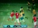 Tribute to the Wallabies