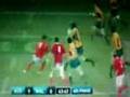 Tribute to the Wallabies