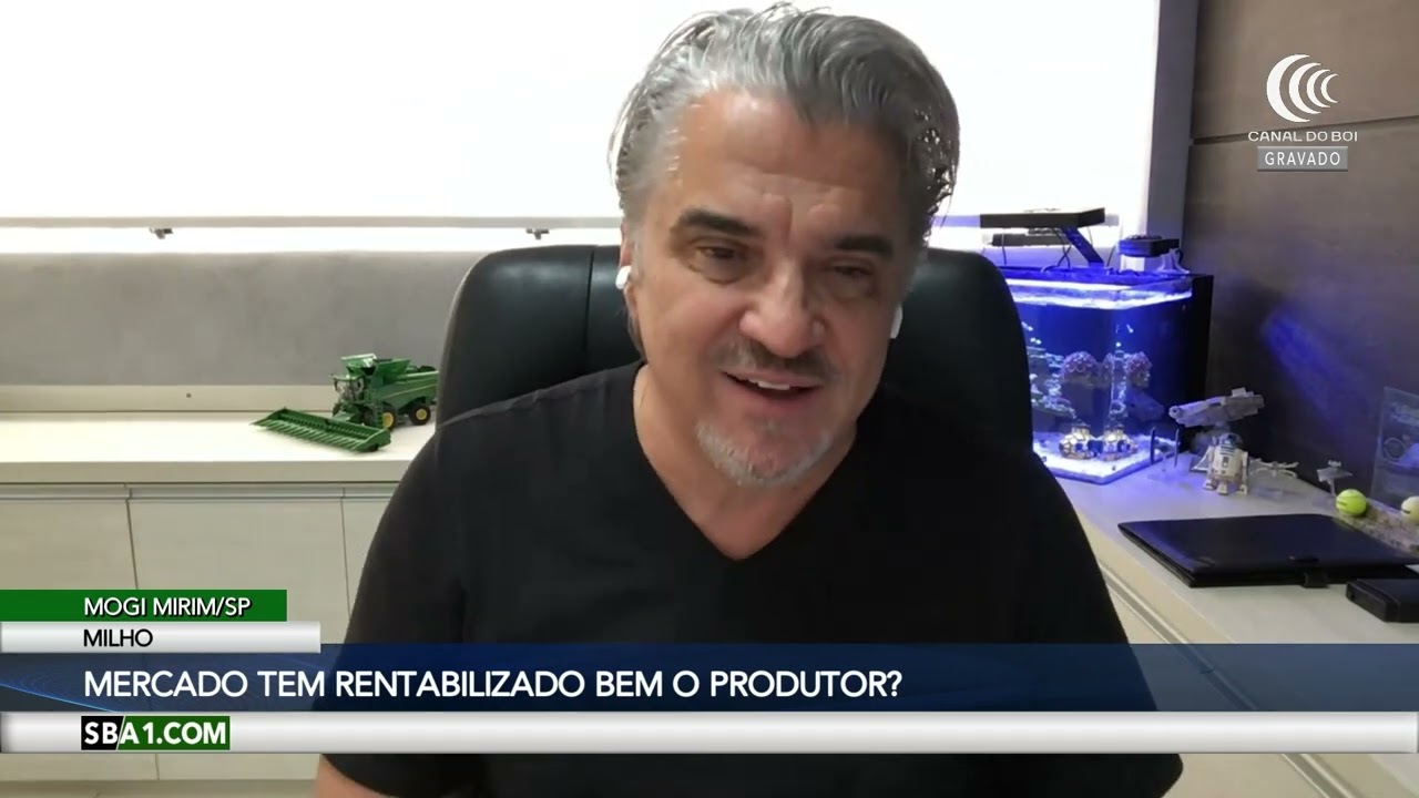 Mercado do milho tem rentabilizado bem o produtor?