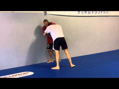MMA Video: Dan Henderson Training With Gegard Mousasi 0 MMA Video: Dan Henderson Training With Gegard Mousasi