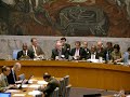 UN Security Council