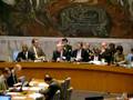 UN Security Council