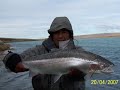 steelhead rio santa cruz Argentina