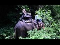 Thailand Movie - Bold Thailand Travel Adventure