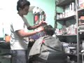 alex (el gordito) praderas