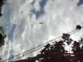 videos de Cam and the Bungy
