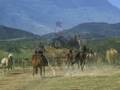 Horse riding Bulgaria Riding base Balkan the base
