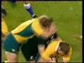 Jake White Springboks