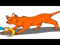 eyesore VS cat