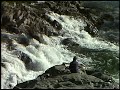 1 Minute Vacation - The American River