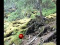 tricks illusions