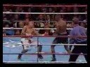 BOXEO , LOS MEJORES KO s  ( COLECCION UNICA )