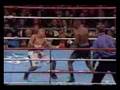 BOXEO , LOS MEJORES KO s  ( COLECCION UNICA )