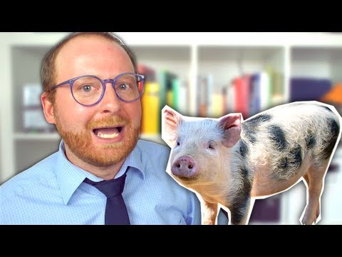 Wie man seinen inneren Schweinehund besiegt