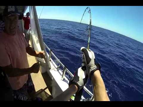 saragosa - Samson Jigging - Western Australia - Shimano Saragosa SW 8000 testing.