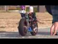 Thundertiger-DUCATI-