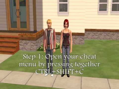 sims 2 cheats alter