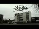 Sequence 2.flv