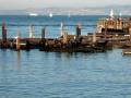 videos de Lombard Street, Coit Tower & Pier 39 Walk 070.avi