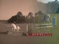 Barn-girl-fun-2
