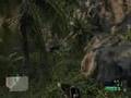 Crysis *MAXED OUT DX10* XFX 8800GS XXX Alpha Dog Edition