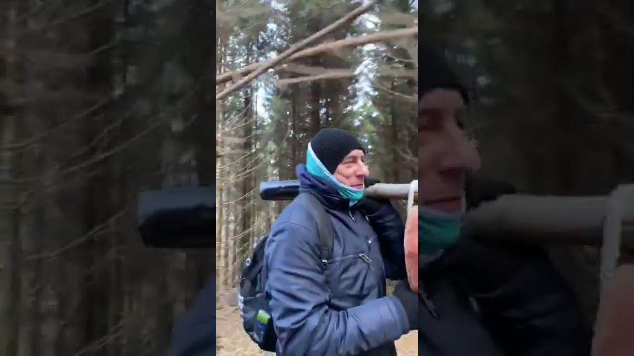 Jesteśmy w lesie