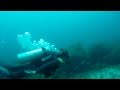 Scuba Coiba - Scuba Dive Coiba National Park ...
