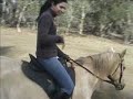 Trail Ride through Australia Bush Trail Ride through Australia Bush