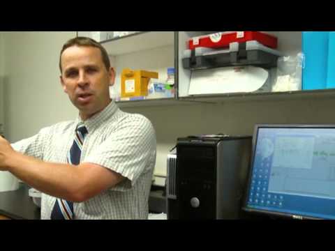 how to perform hplc analysis