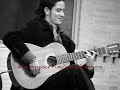 arm�nica flamenca