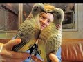 TRAVIS HAS A PIGEON OBSESSION - KINGS CARRIAGE (Ep. 1)