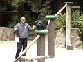 Jungle Love