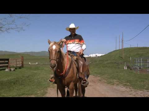 how to properly neck rein a horse
