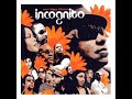 Incognito - Wild And Peaceful
